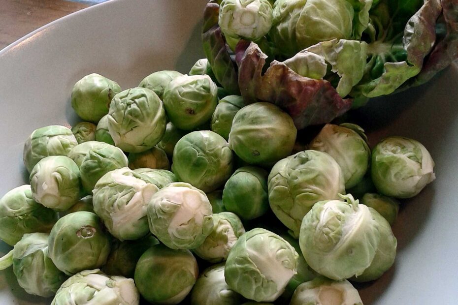 Der letzte Rosenkohl im April 2013