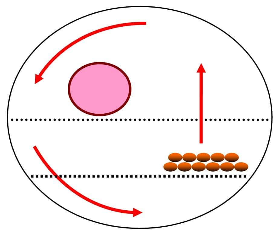 Schema: Indirektes Grillen im Kugelgrill