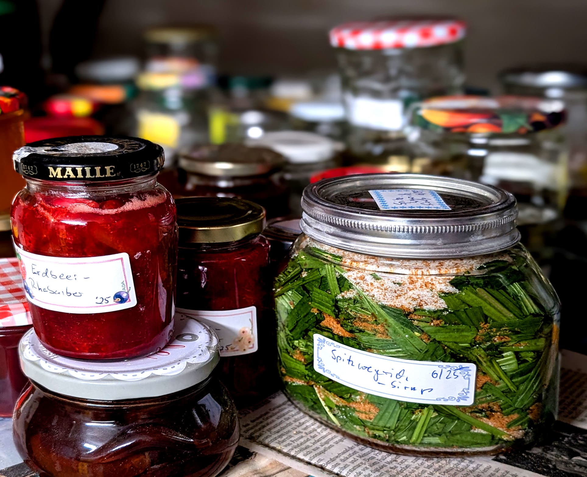 Fermentieren Rezepte: Kkakdugi + Buch „Landlust Einmachen“